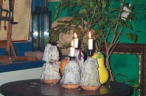 Zuidamerikaans