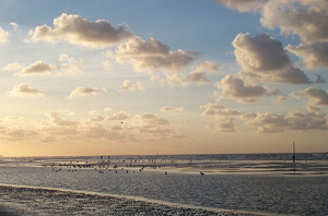 De Panne