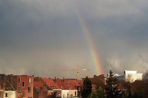 regenboog