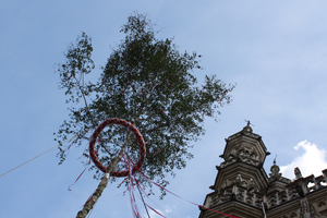 Meyboomplanting