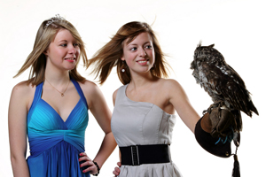 Roofvogels